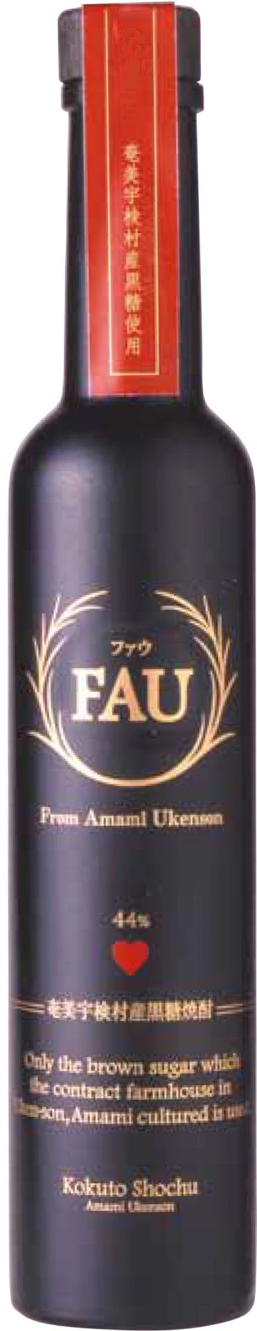 FAU-scaled.jpg