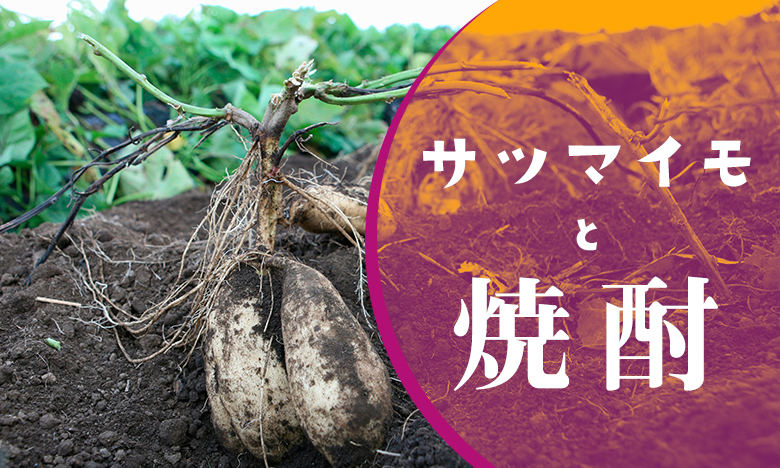 サツマイモと焼酎