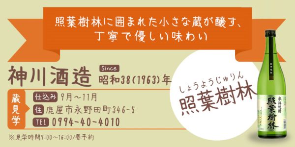 蔵旅表-照葉樹林